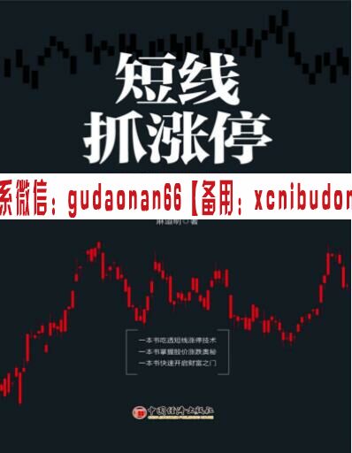 麻道明《决战主升浪:捕捉暴涨行情的独门绝技(高清)》pdf 下载