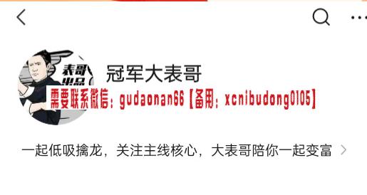 冠军大表哥 主线核心专栏 大表哥价值百万投资课，低吸擒龙情绪周期